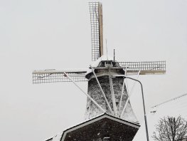 Alissa Timmer wint fotowedstrijd SGP